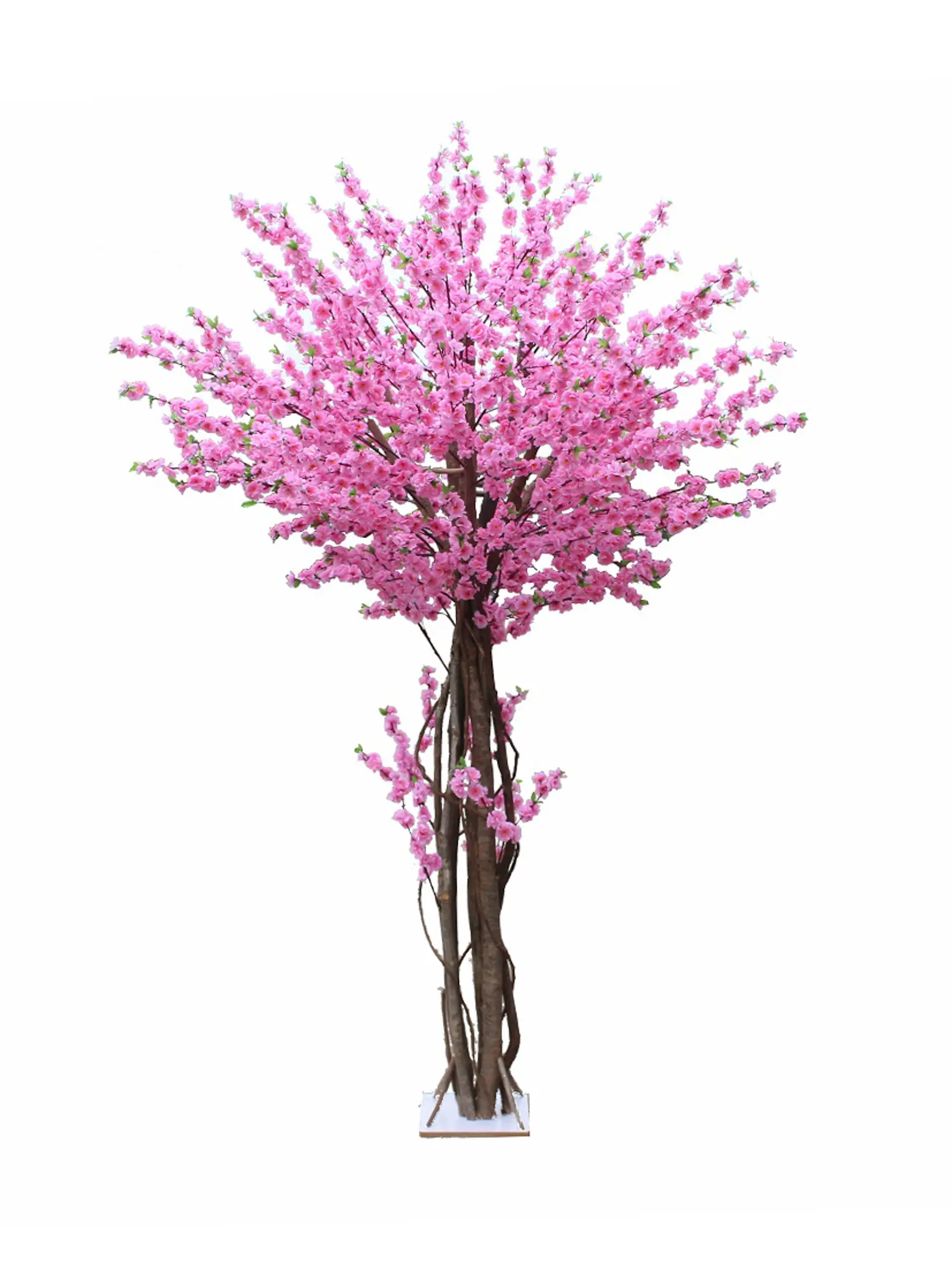 Grote Chinese Kunst Bloesemboom 260cm