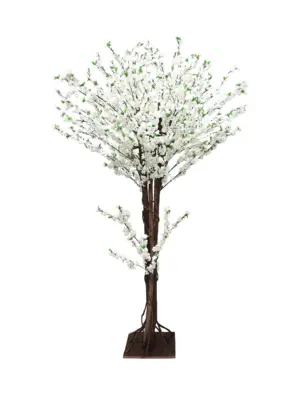 Grote Japanse Kunst Bloesemboom Wit 260cm