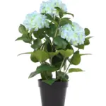 Grote Kunst Hortensia Blauw 65cm
