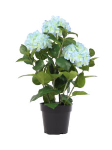 Grote Kunst Hortensia Blauw 65cm