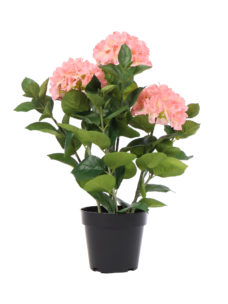 Grote Kunst Hortensia Roze 65cm