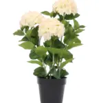 Grote Kunst Hortensia Wit-Roze 65cm