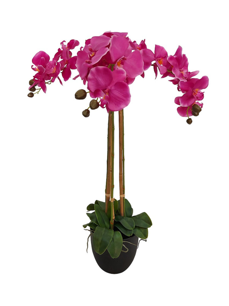 Grote Paarse Nep Orchidee