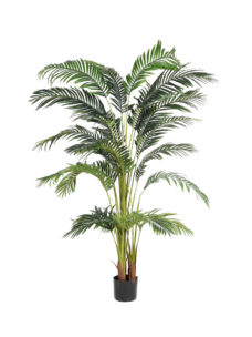 Kunst Arecapalm Tenerife Groot 185cm