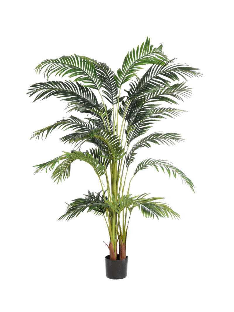 Kunst Arecapalm Tenerife Groot 185cm