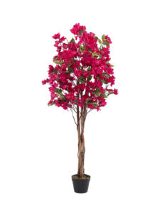 Kunst Bougainville 150cm