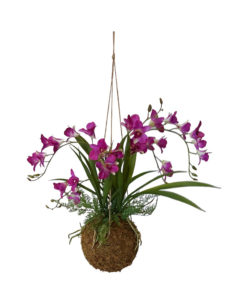 Kunst Kokodama Orchidee Fucsia 50cm