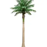 Kunst Kokospalm Zanzibar XXl 460cm