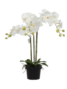 Kunst Orchideeplant Wit 65cm