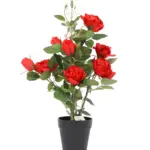 Kunst Rozenstruik Rode Rozen