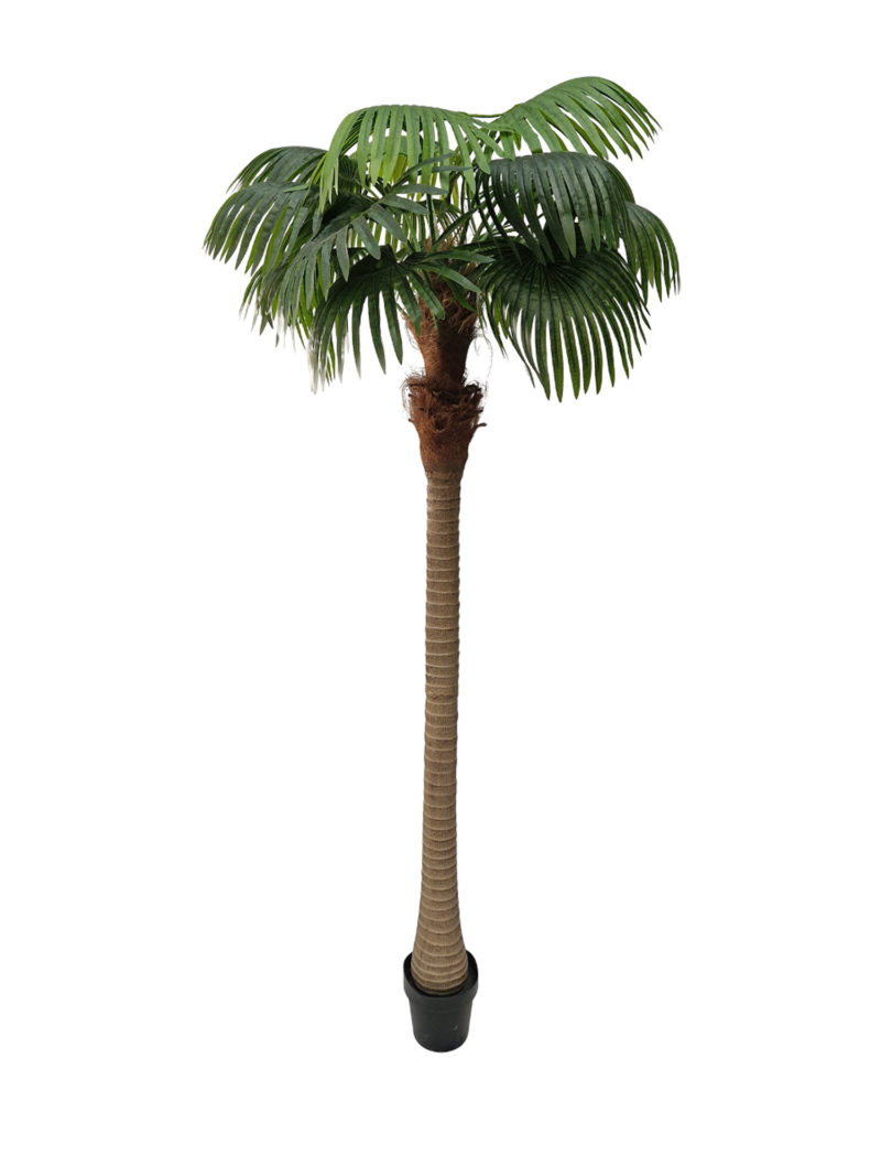 Kunst Waaierpalm Havana 220cm