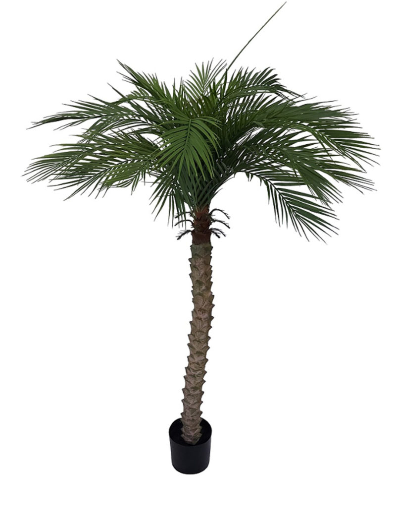 Kunstpalm Hawaii 155cm