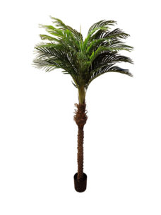 Kunstpalm Hawaii Groot 220cm