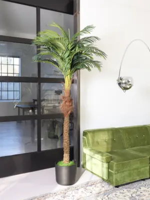 Kunstpalm Hawaii Groot 220cm alleen bij Kunstpalm.nl
