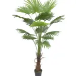 Kunstpalm Waaierblad Rhodos 175cm