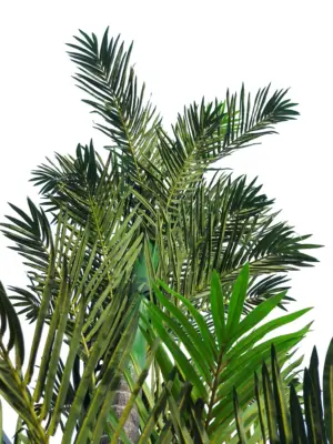Kunstpalmset Archipel 370cm