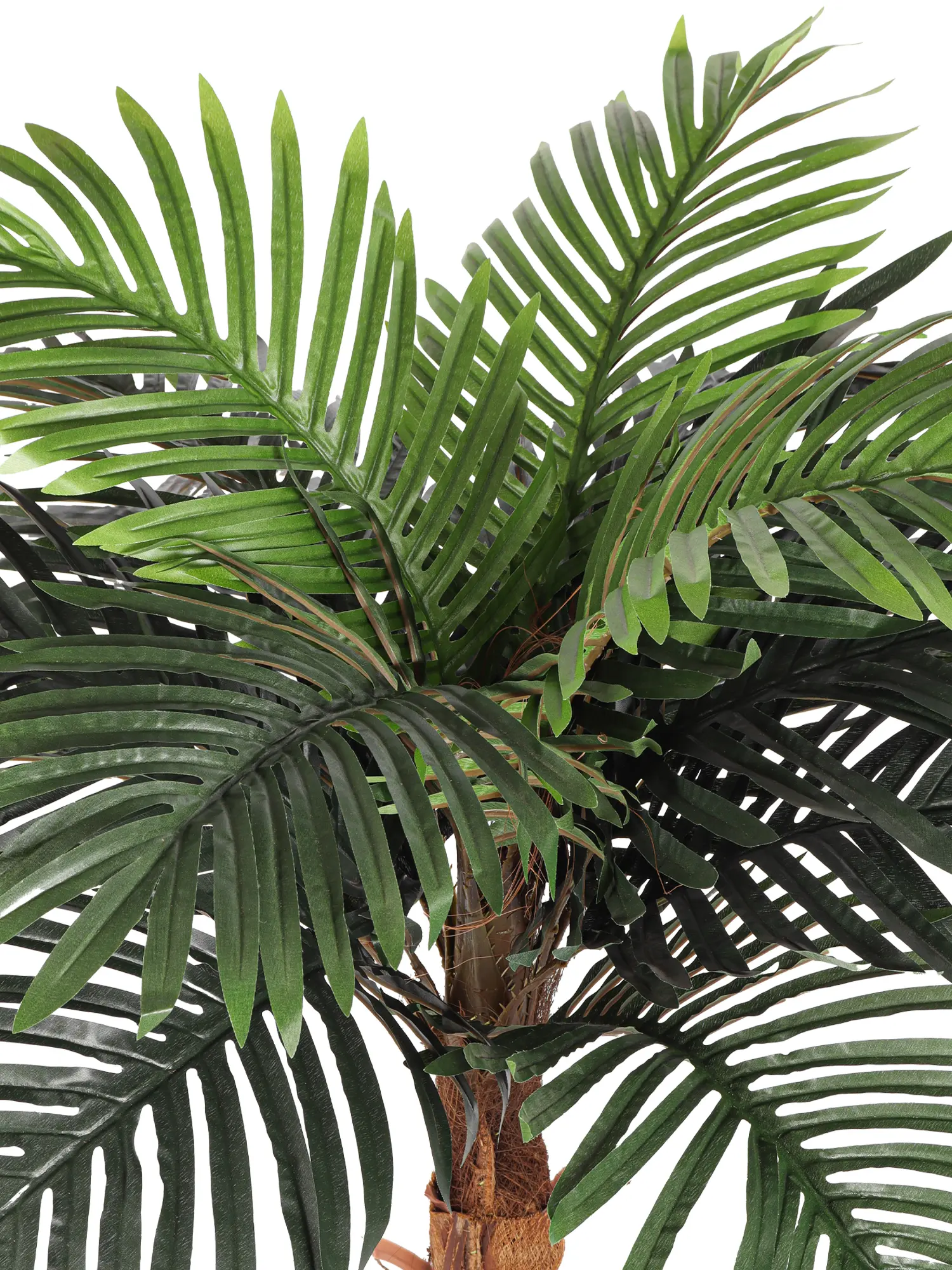 Nep Palmboompje Samoa 110cm - Afbeelding 2