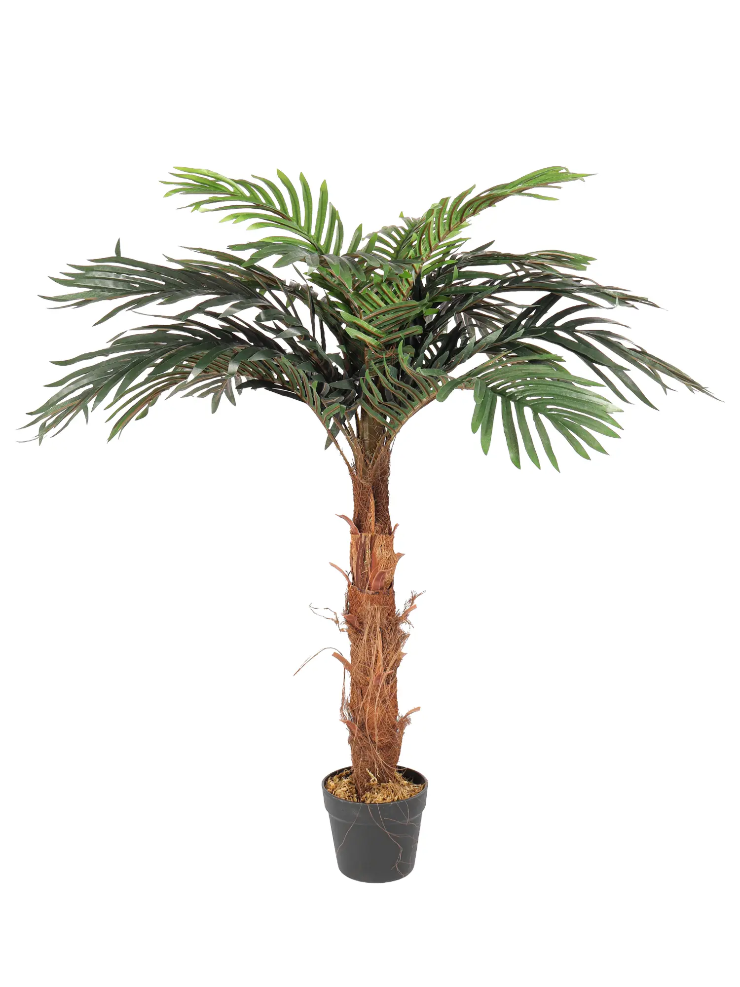 Nep Palmboompje Samoa 110cm