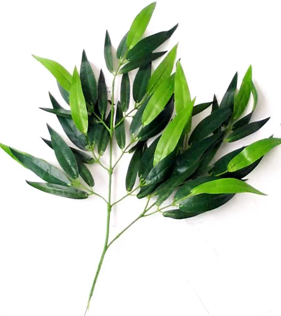 Bamboebladeren pakket 50cm