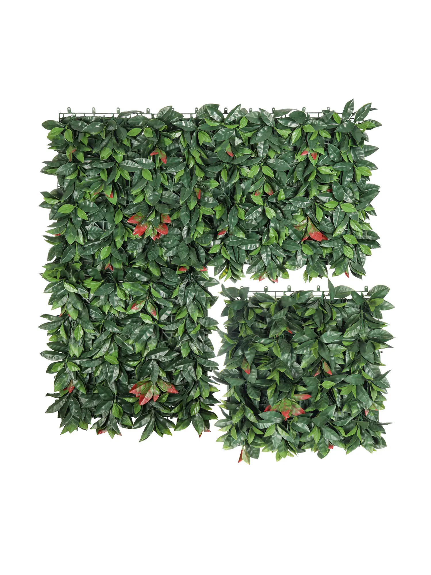 Photinia Kunsthaag Rood – 50x50cm