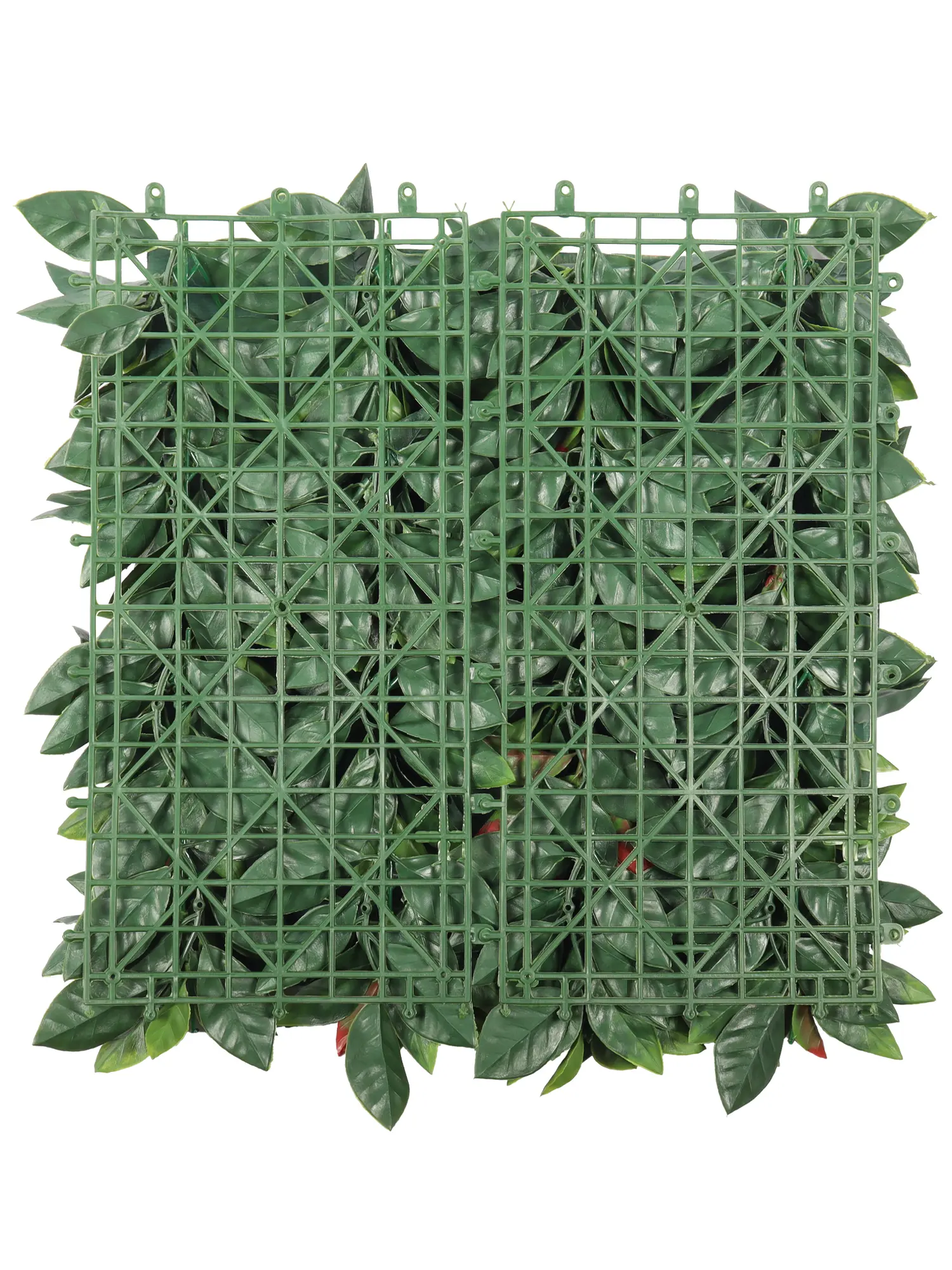 Photinia Kunsthaag Rood – 50x50cm – Decoratieve kunsthaag voor privacy en een groene uitstraling.