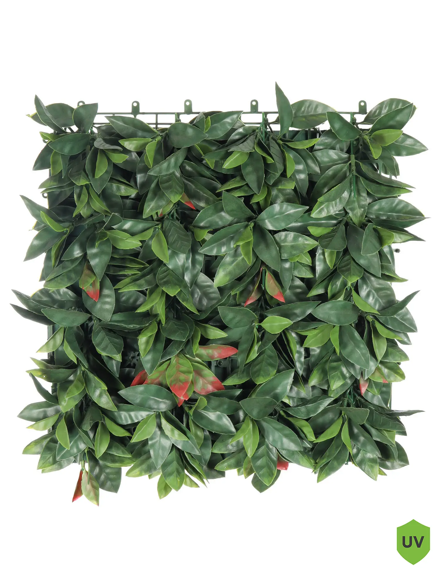 Photinia Kunsthaag Rood – 50x50cm – Levendige rode en groene kunstplantwand voor binnen en buiten.