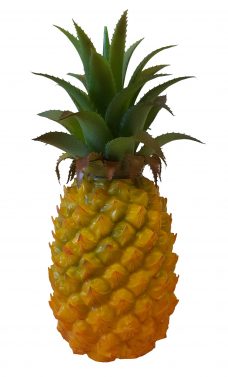 Kunst ananas Middel