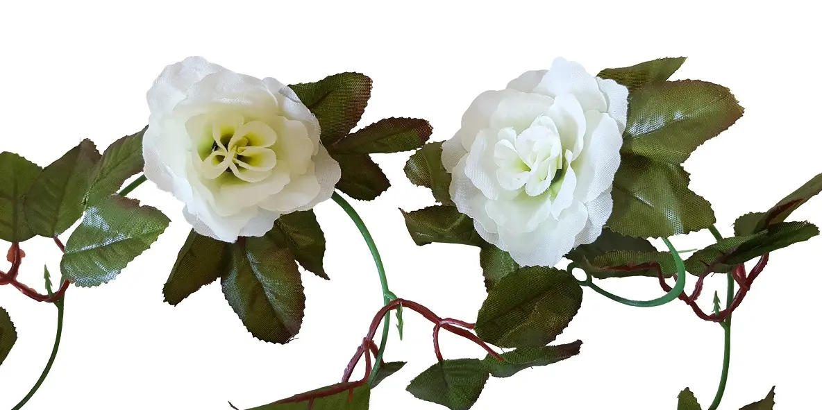 Rozenslinger Wit 220cm