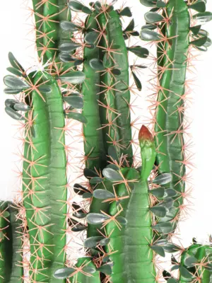 Kunstcactus Okinawa 150cm