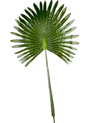 Kunst Waaierpalmblad 35cm