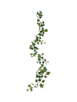 Druivenblad Slinger Met Zijtakken 220cm