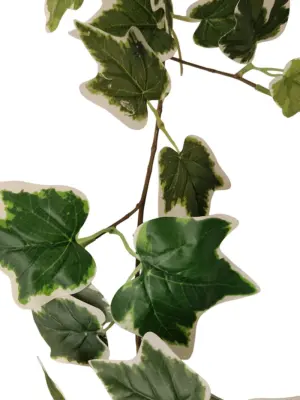 Kunstklimop Bont 220cm