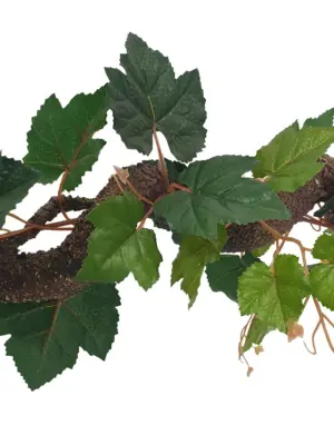 Krulliaan Druivenblad 175cm