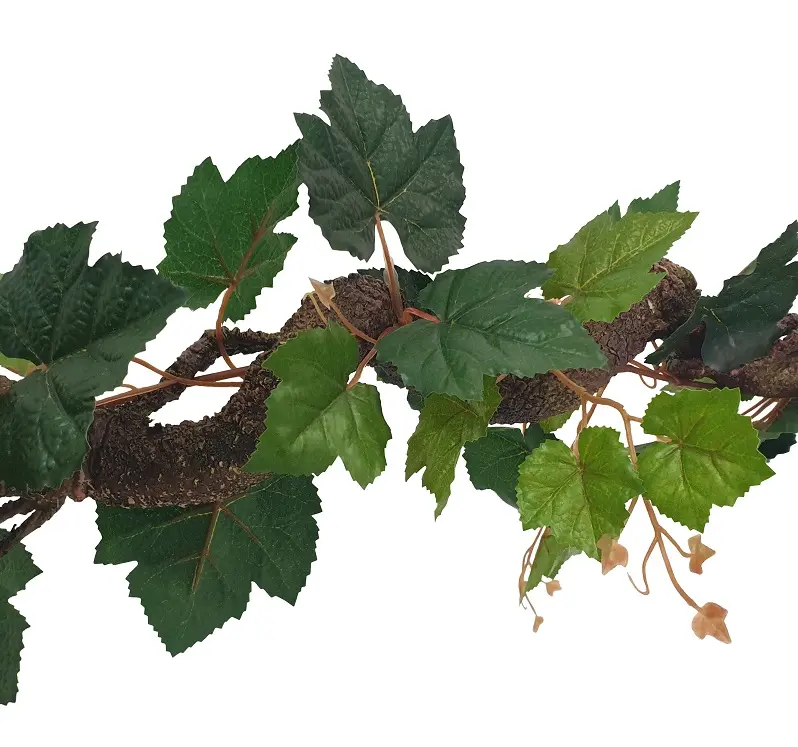 Krulliaan Druivenblad 175cm