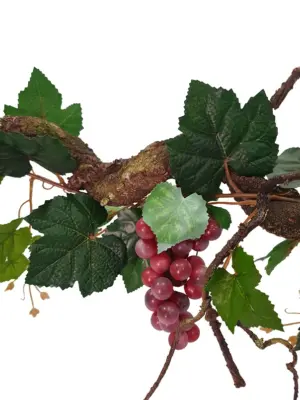 Krulliaan Rode Druiven 175cm