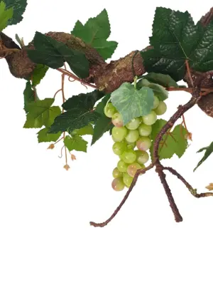 Krulliaan Witte Druiven