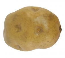Kunst Aardappel