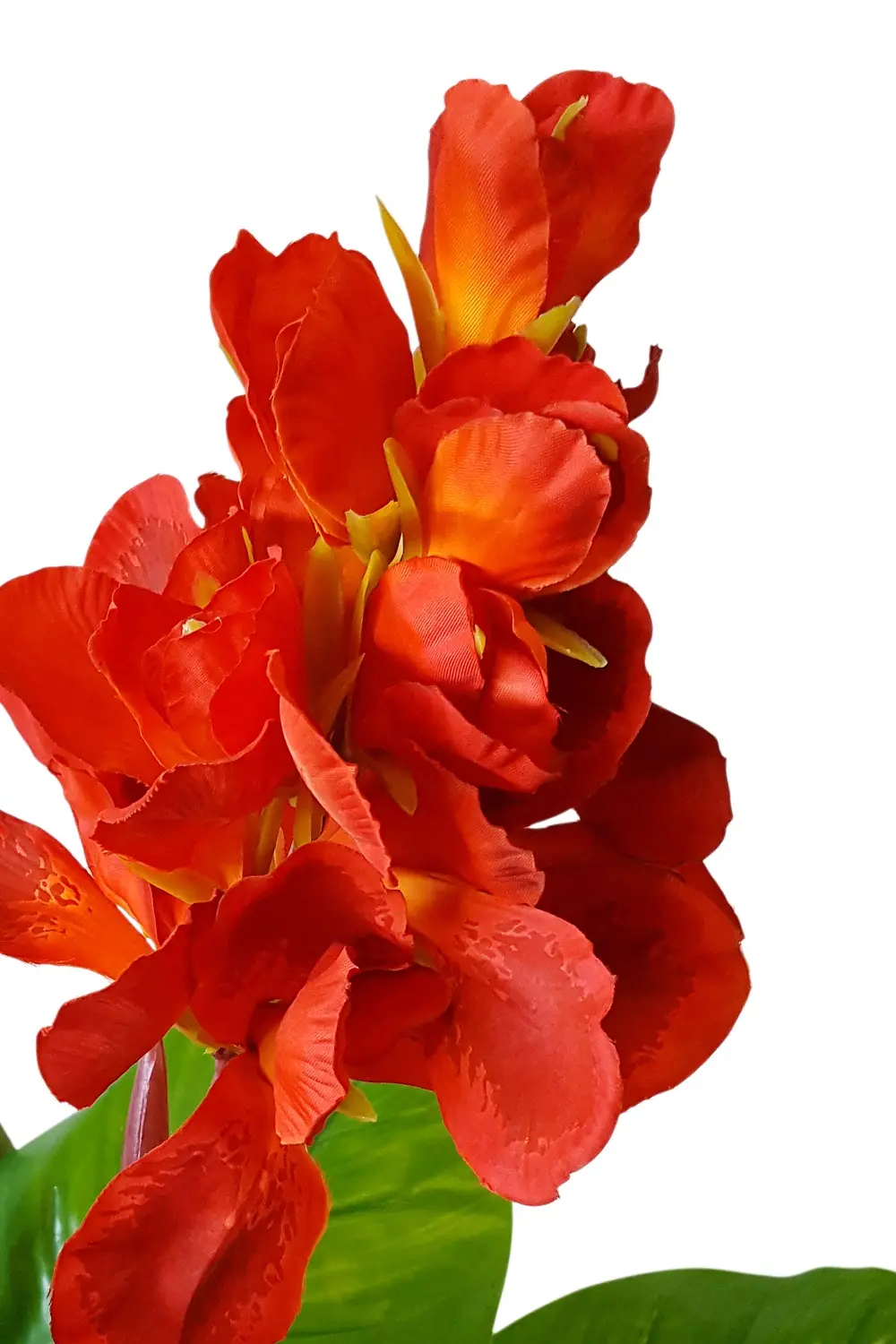 Kunst Canna Rood 165cm