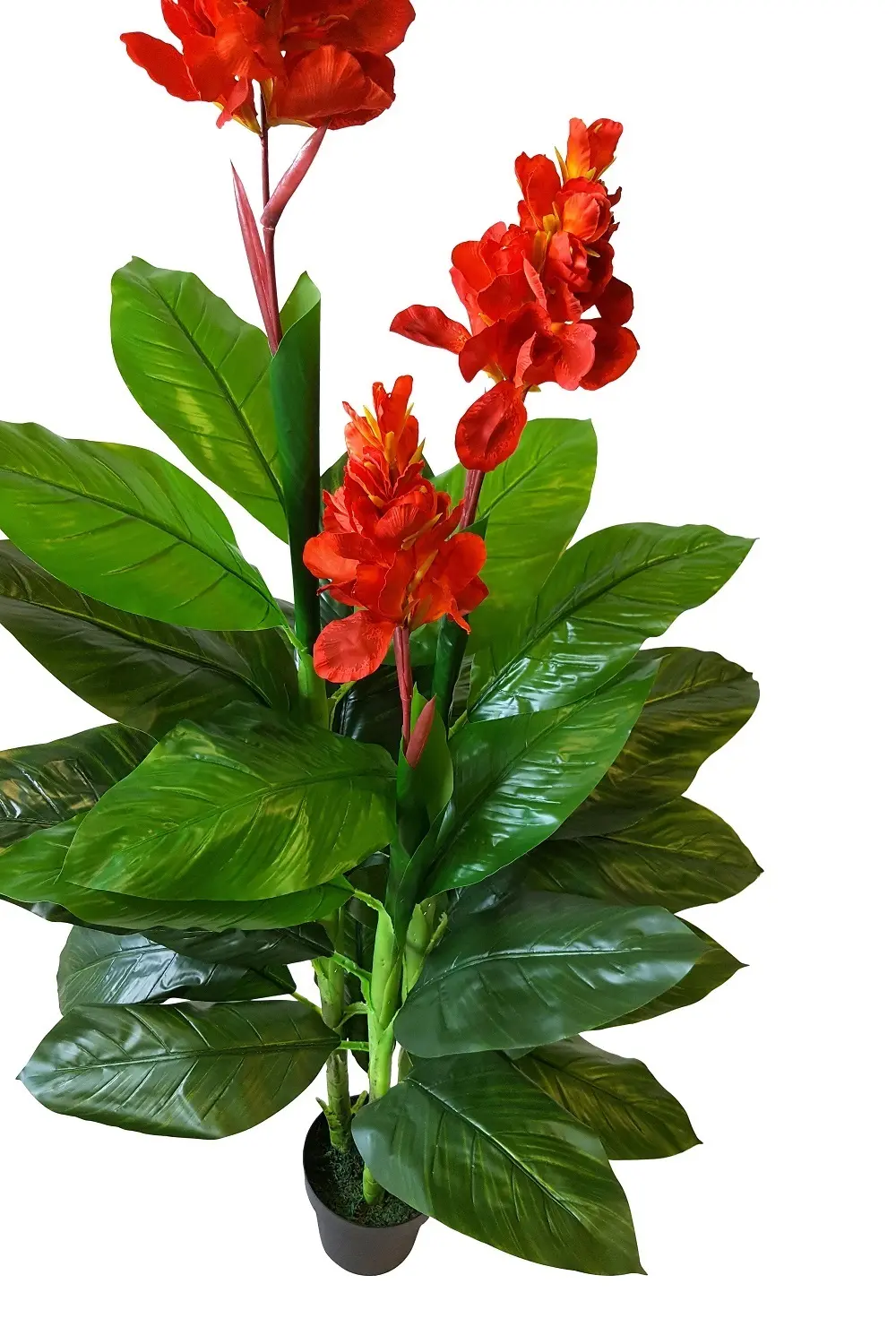 Kunst Canna Rood 165cm