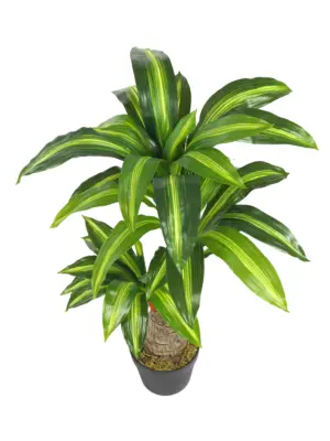 Kunst Dracaena op stam 80cm met kruinen. Compact en decoratief.