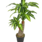 Kunst Dracaena op stam 80cm met kruinen. Compact en decoratief.