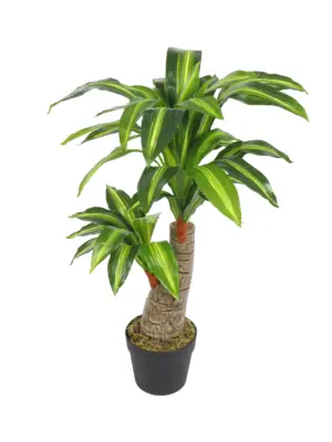 Kunst Dracaena op stam 80cm met kruinen. Compact en decoratief.