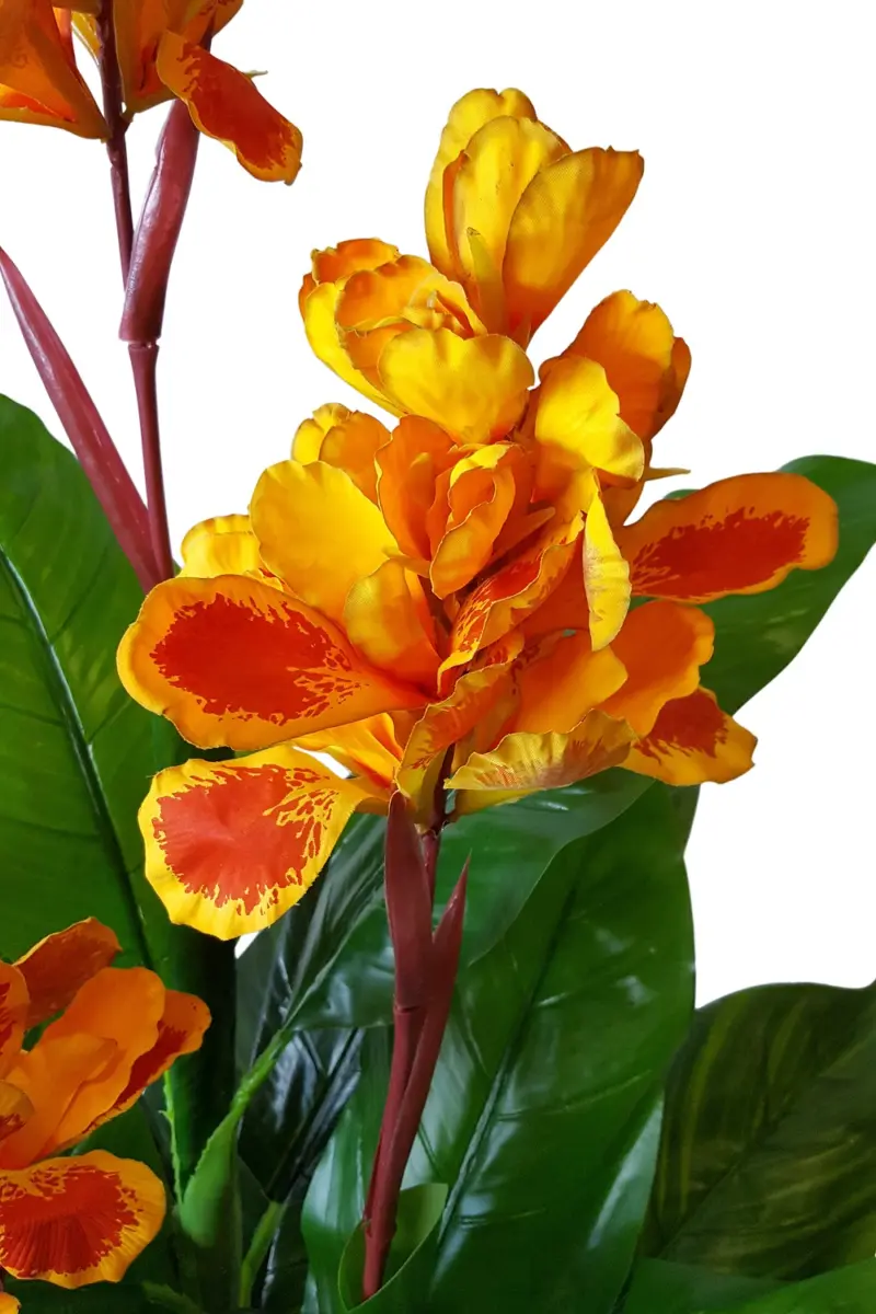 Namaak Canna Oranje 165cm