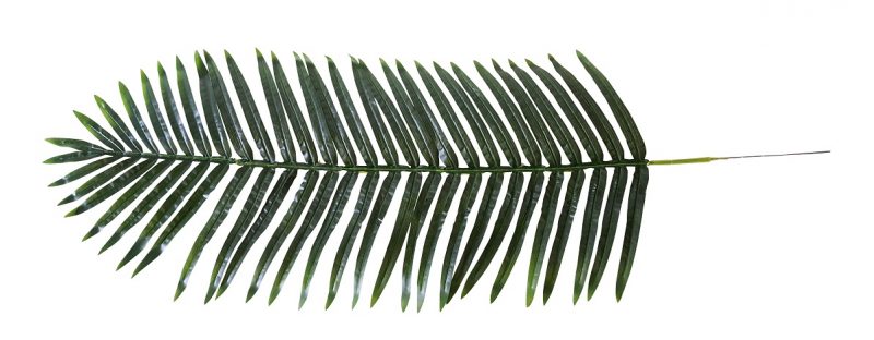 Namaak Palmbladeren XL 120cm