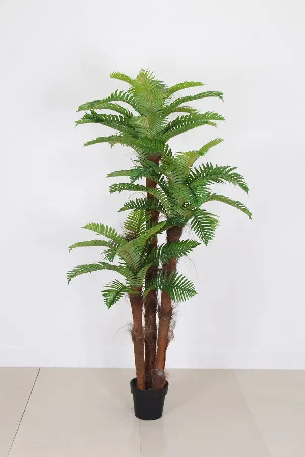Varenpalm Fiji 185cm