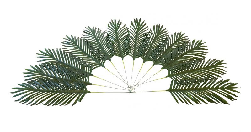 Nep Palmblad 35cm
