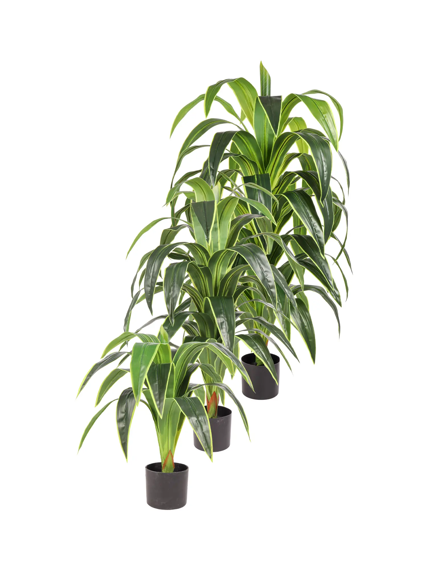 XL Kunst Dracaena 120cm