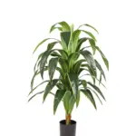 XL Kunst Dracaena 120cm