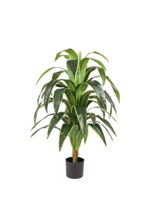 XL Kunst Dracaena 120cm