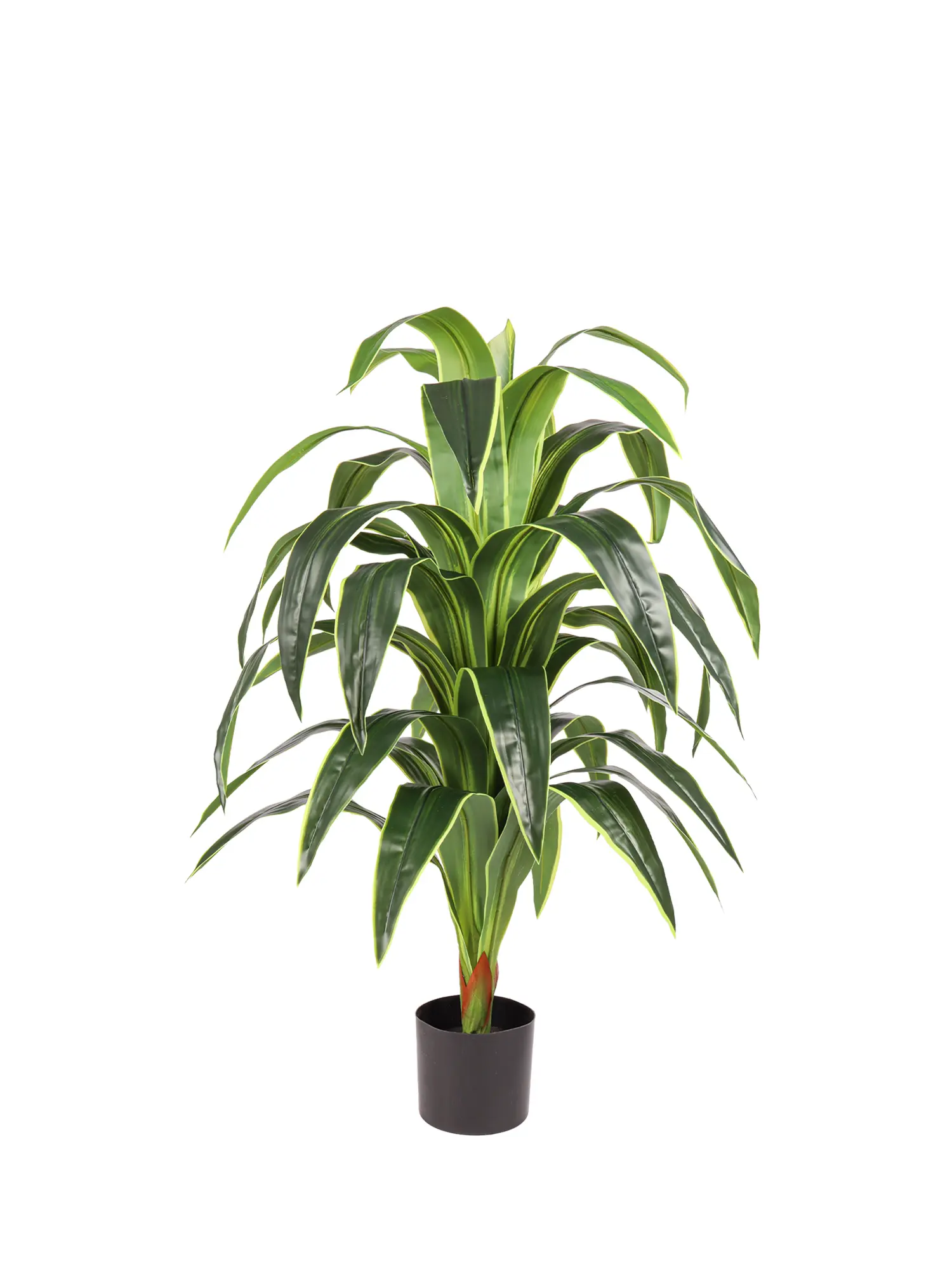 XL Kunst Dracaena 120cm